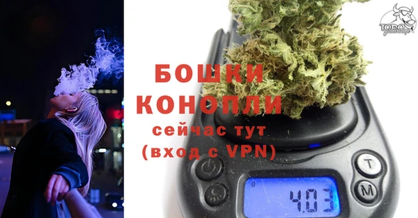 ГАЛЛЮЦИНОГЕННЫЕ ГРИБЫ Нягань