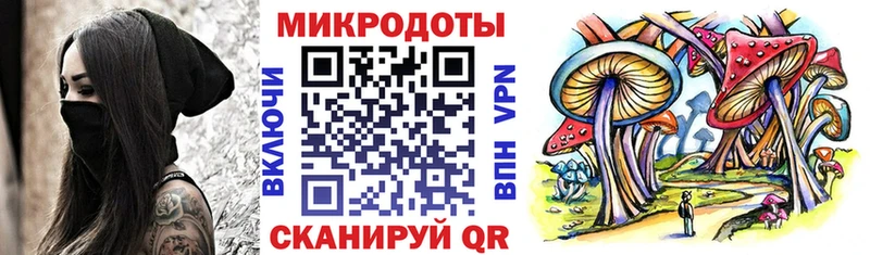 где купить наркоту  Кочубеевское  Галлюциногенные грибы MAGIC MUSHROOMS 