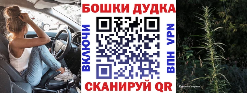 Конопля гибрид  Кочубеевское 